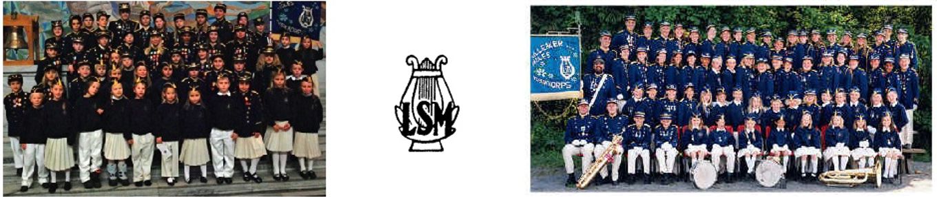 LSM-banner
