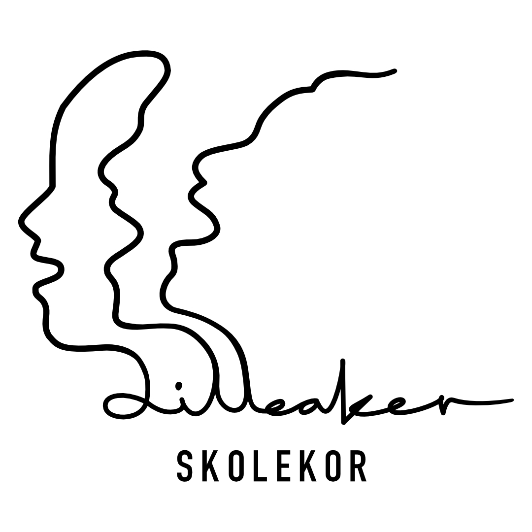 Lilleaker skolekor