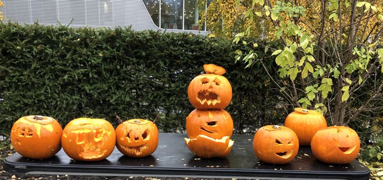 Halloween på Fabro gård