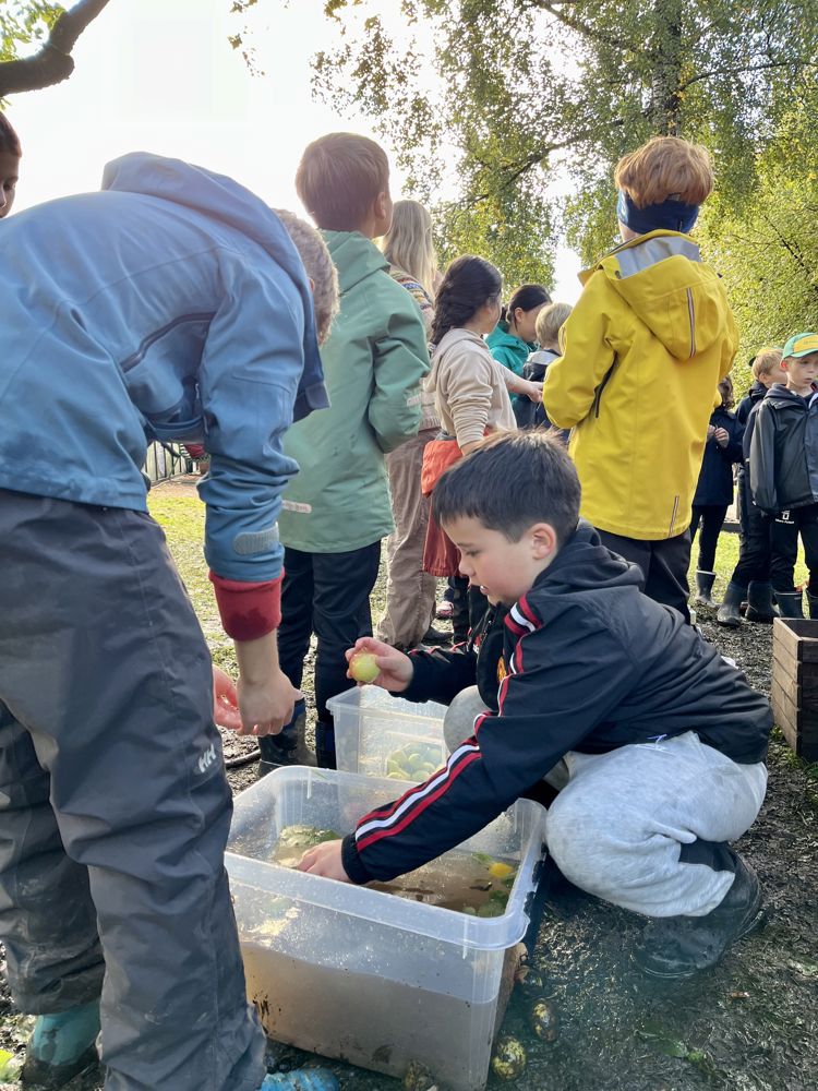 Foto: Nina M. Rygg Storfint besøk på Fåbro gård