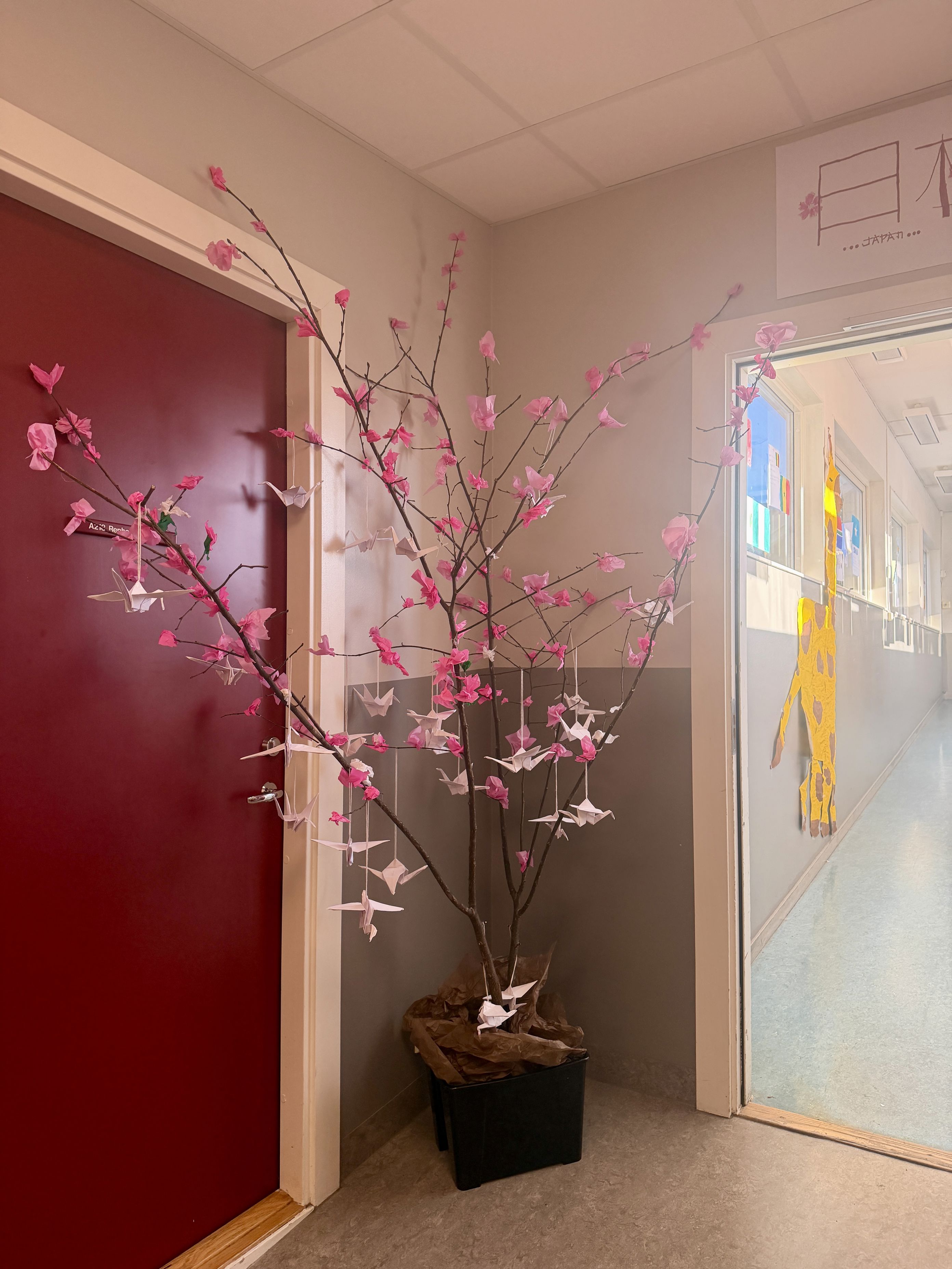 Foto: Anne Dean Internasjonal uke