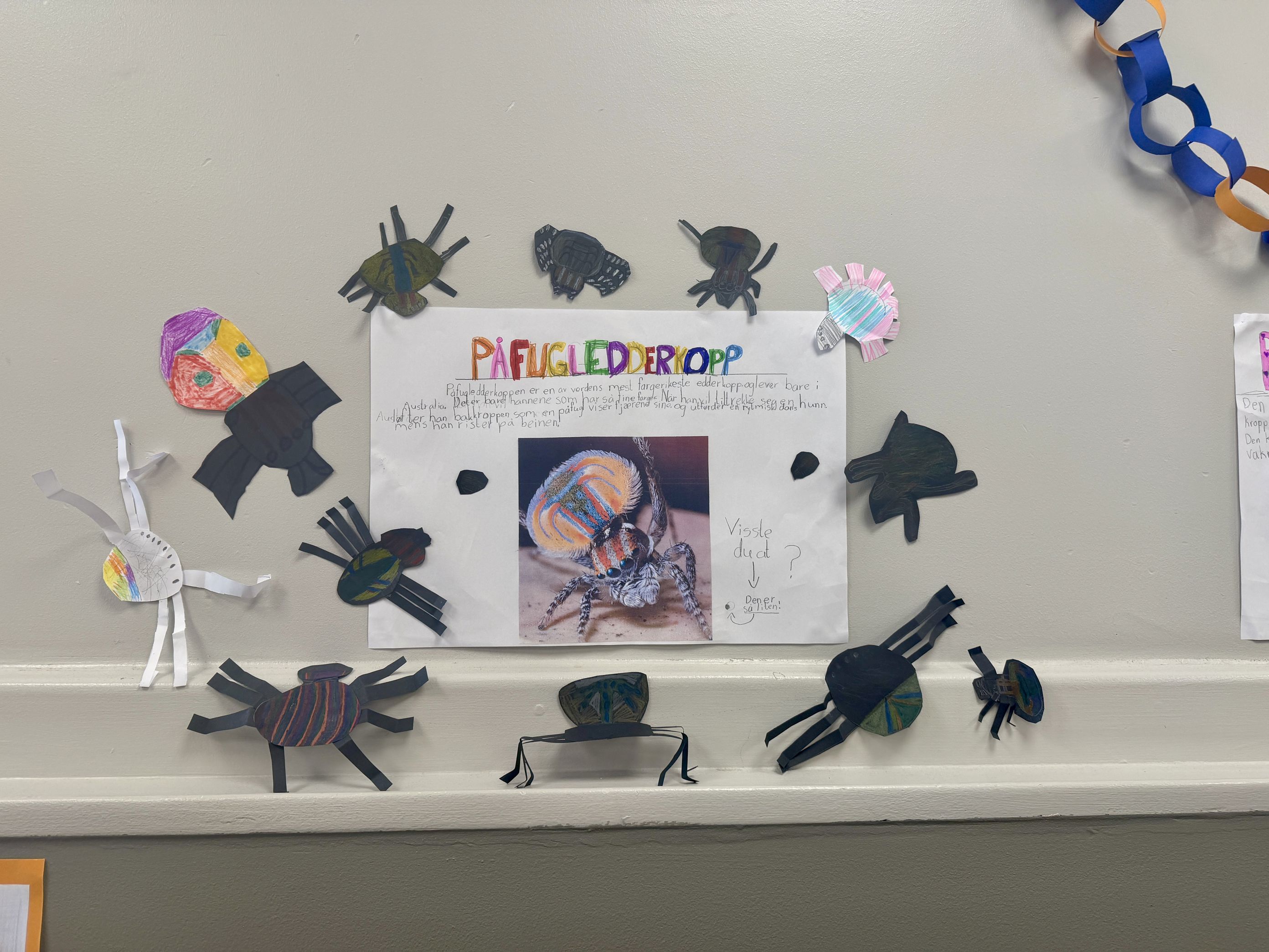 Foto: Anne Dean Internasjonal uke