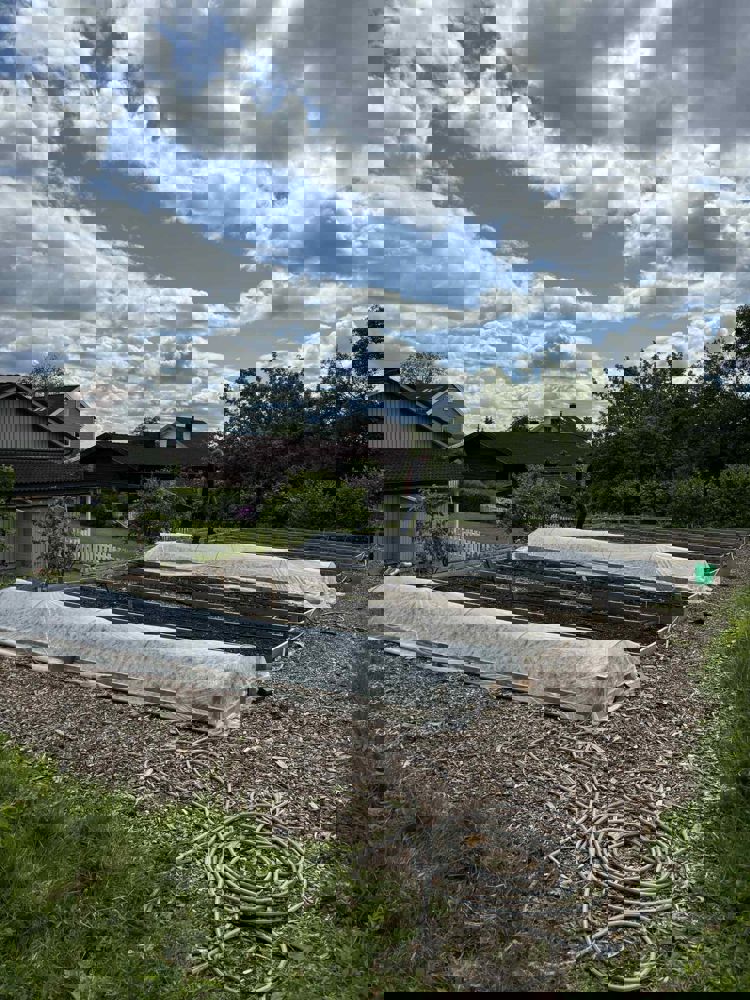 Skolehagen
